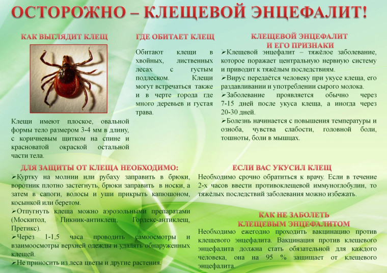 Клещевой энцефалит.